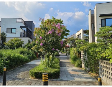 12월초 판교단독주택 각 블럭별 추천매물