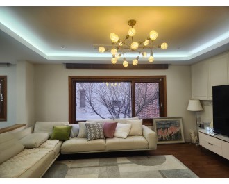 3월초 판교단독주택 통단독(1,2층) 전,월세 매물